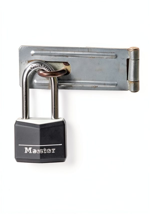 Master Lock Black Covered Aluminum Padlock with Long Shackle 141DLF-6